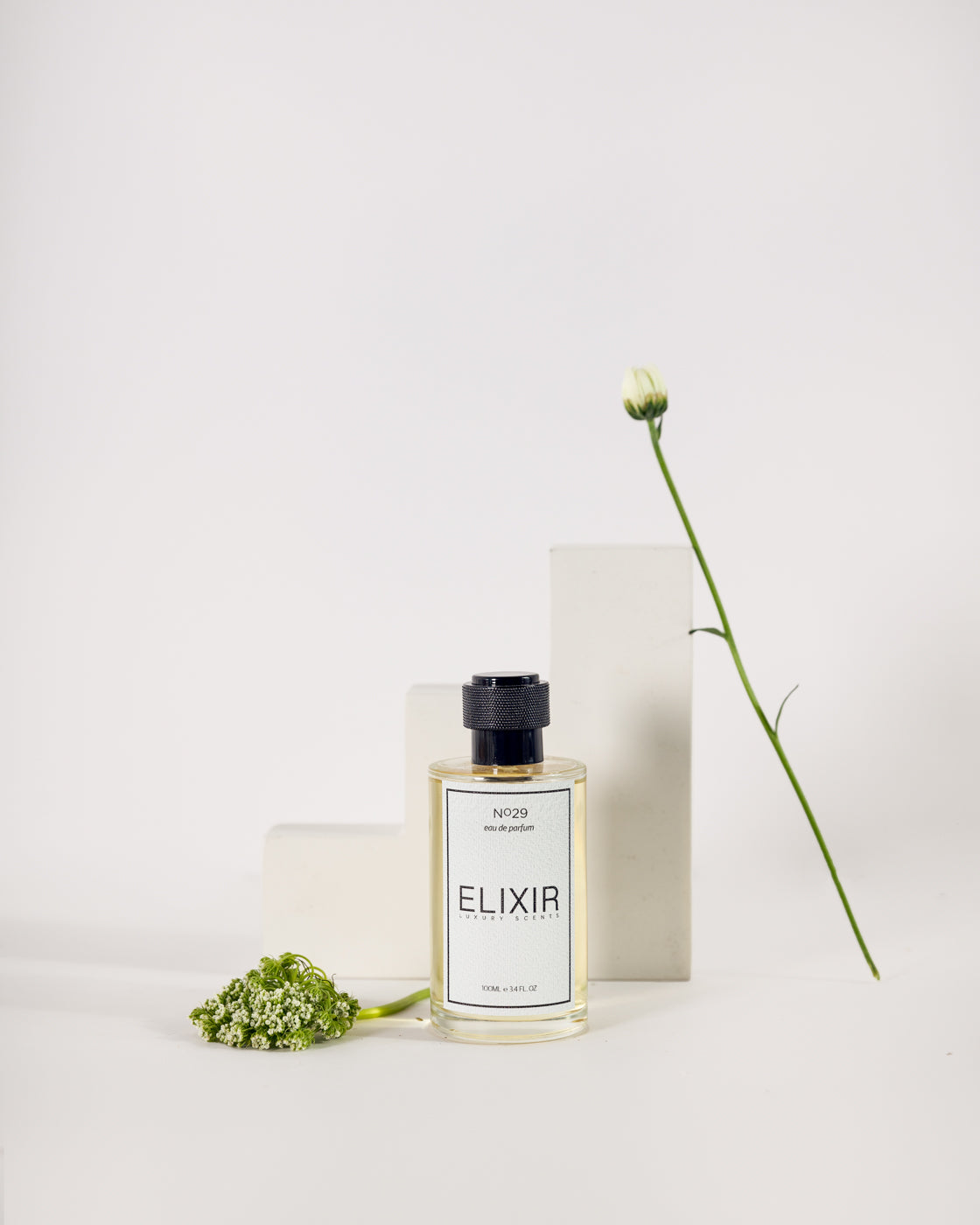 ELIXIR NO. 29